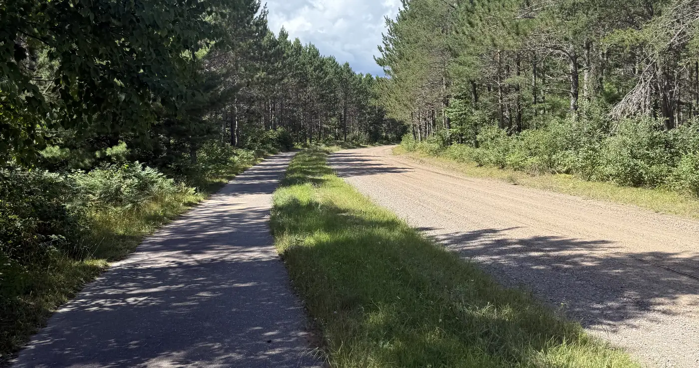 The paved bike trail running through pines beside a gravel road.